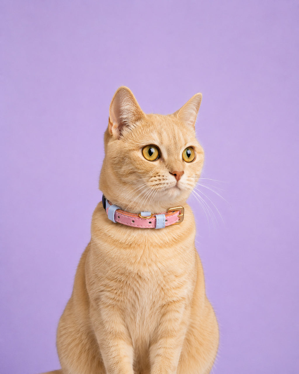 Vegan Leather Cat Collar - Sweet Pink