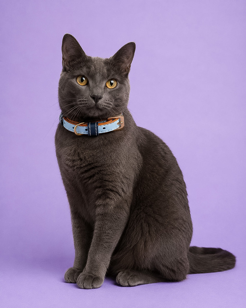 Vegan Leather Cat Collar - True Blue