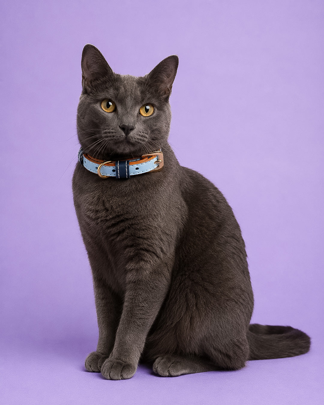 Vegan Leather Cat Collar - True Blue