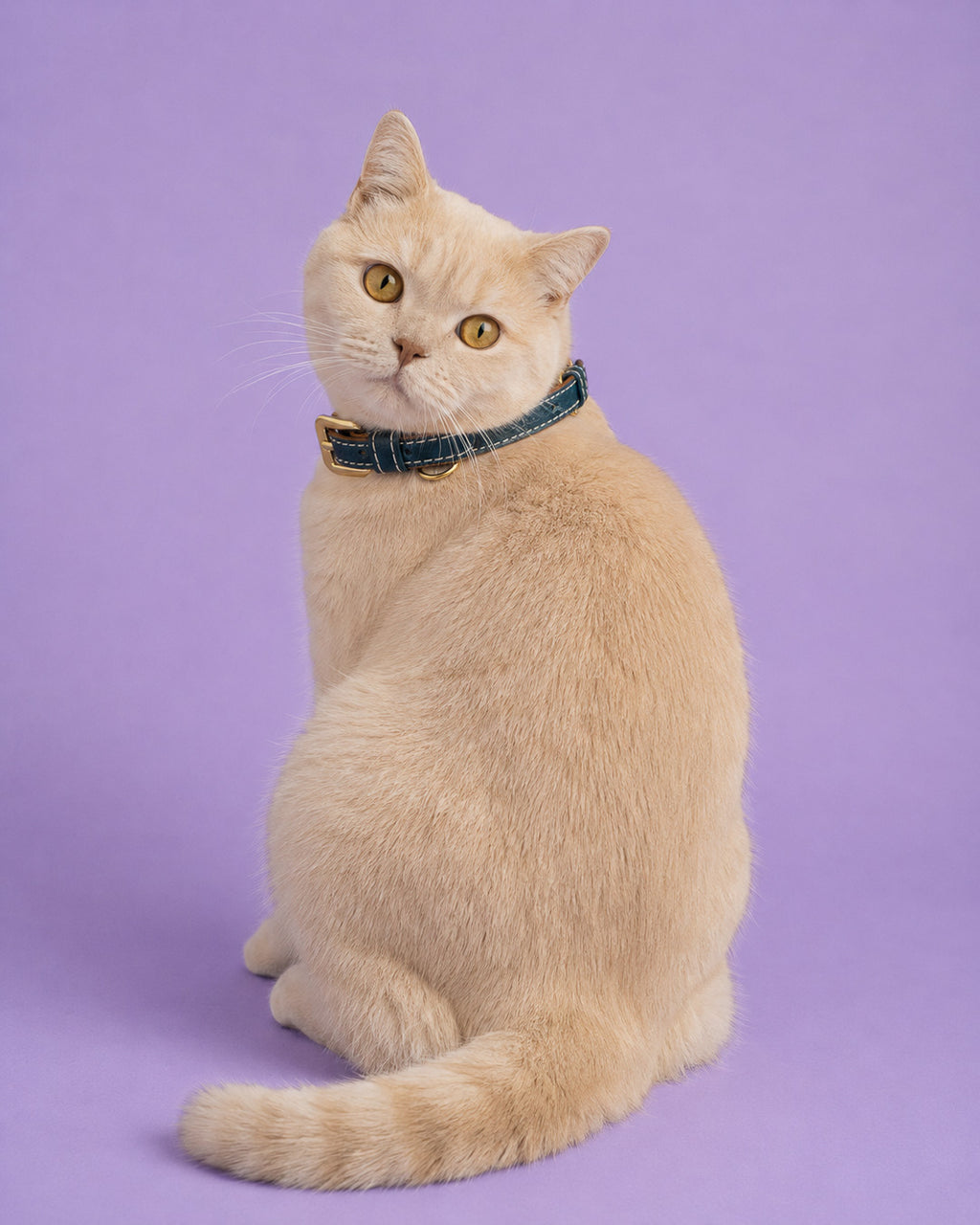 Vegan Leather Cat Collar - Blue Ocean