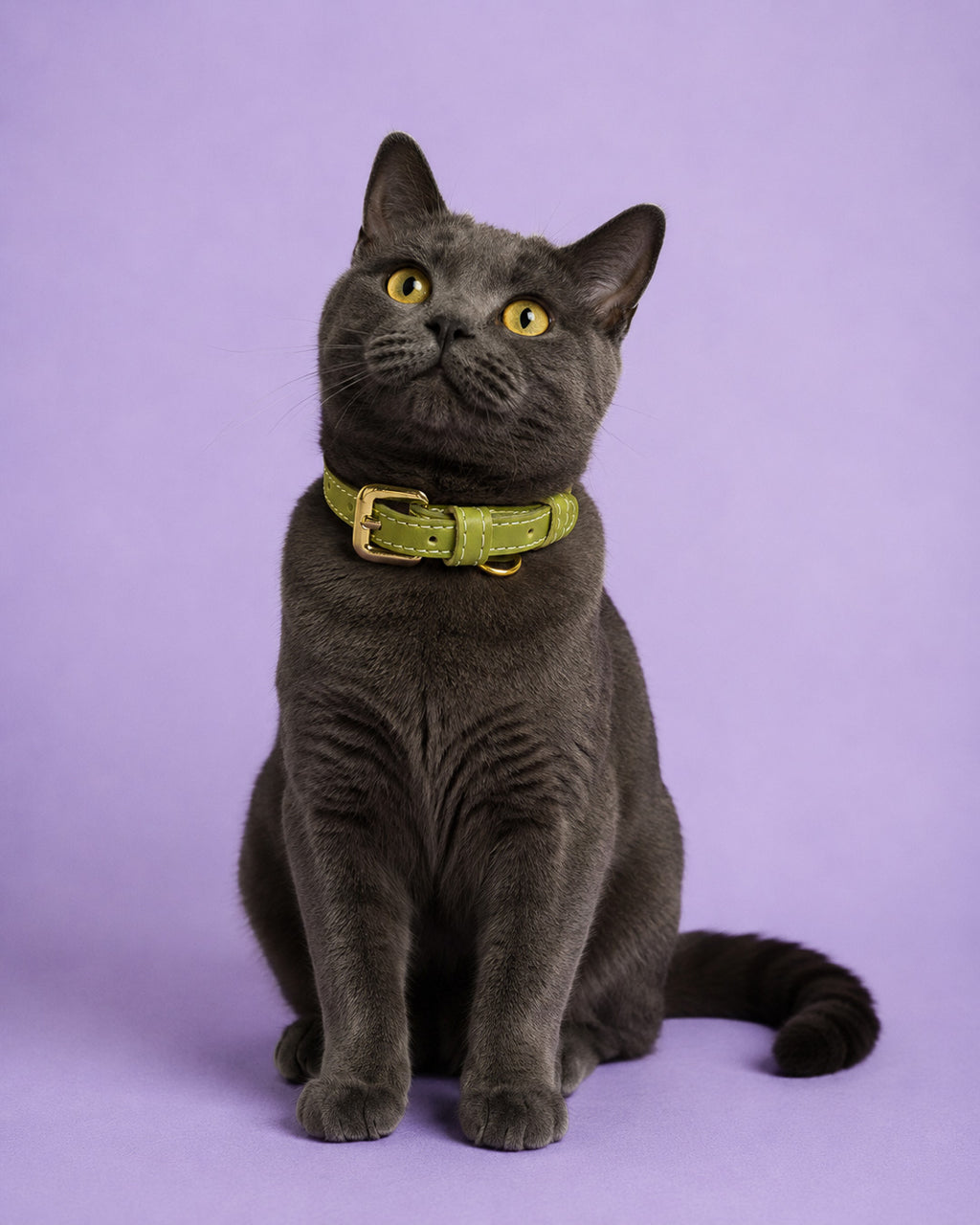 Vegan Leather Cat Collar - Olive Green