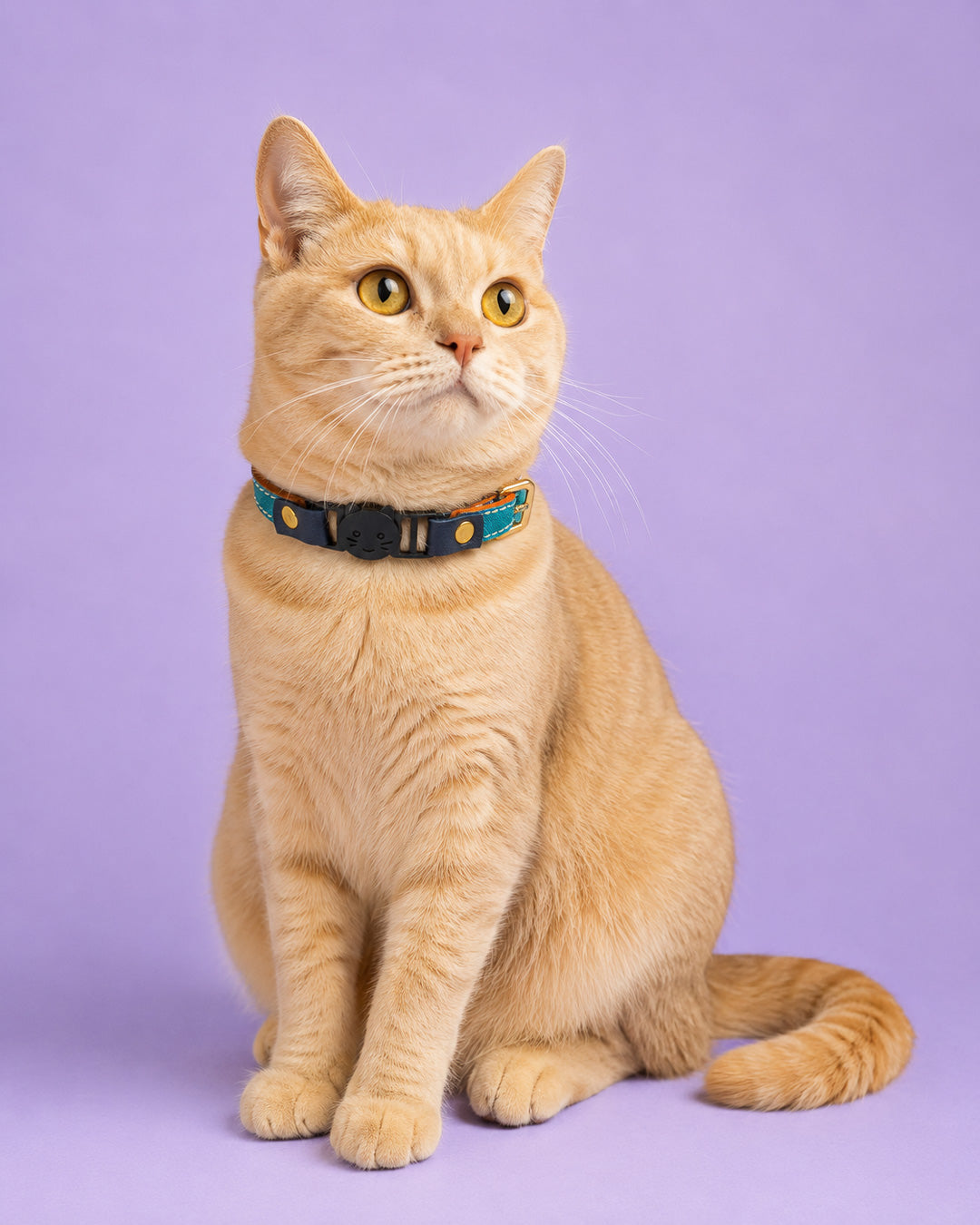 Vegan Leather Cat Collar - Turquoise