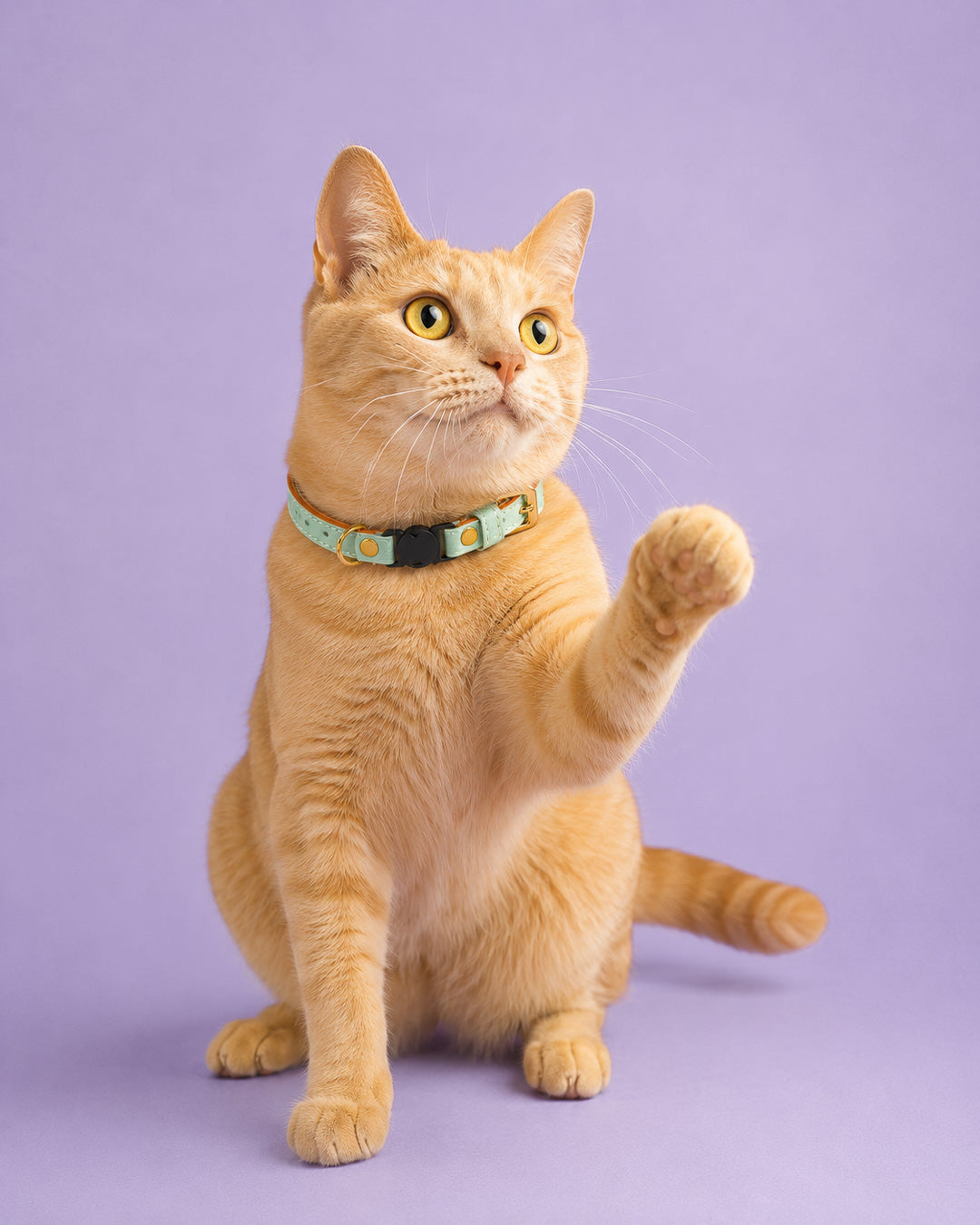 Vegan Leather Cat Collar - Mint Green