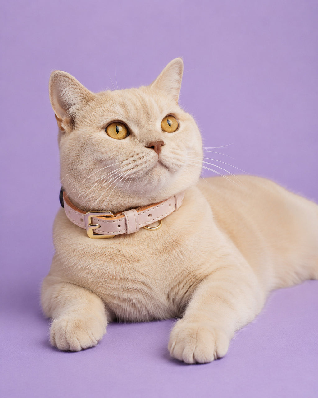 Vegan Leather Cat Collar - Flamingo