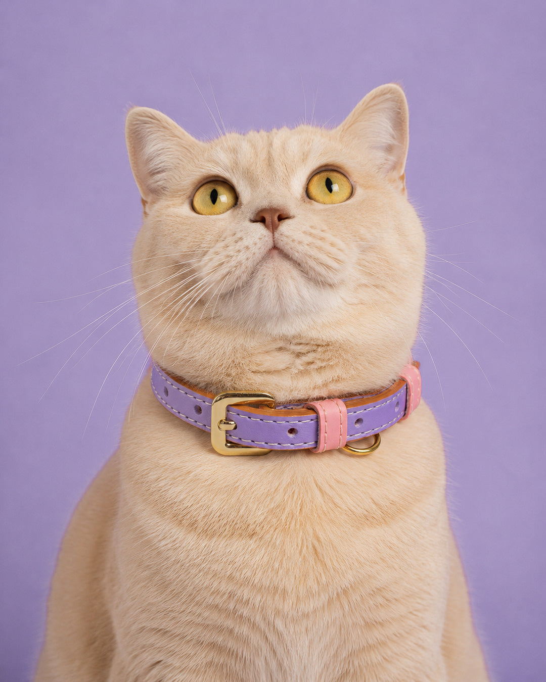 Vegan Leather Cat Collar - Lilac