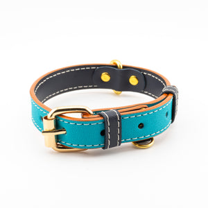 Vegan Leather Dog Collar - Turquoise
