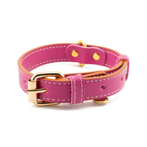 Vegan Leather Dog Collar - Spring Fuchsia