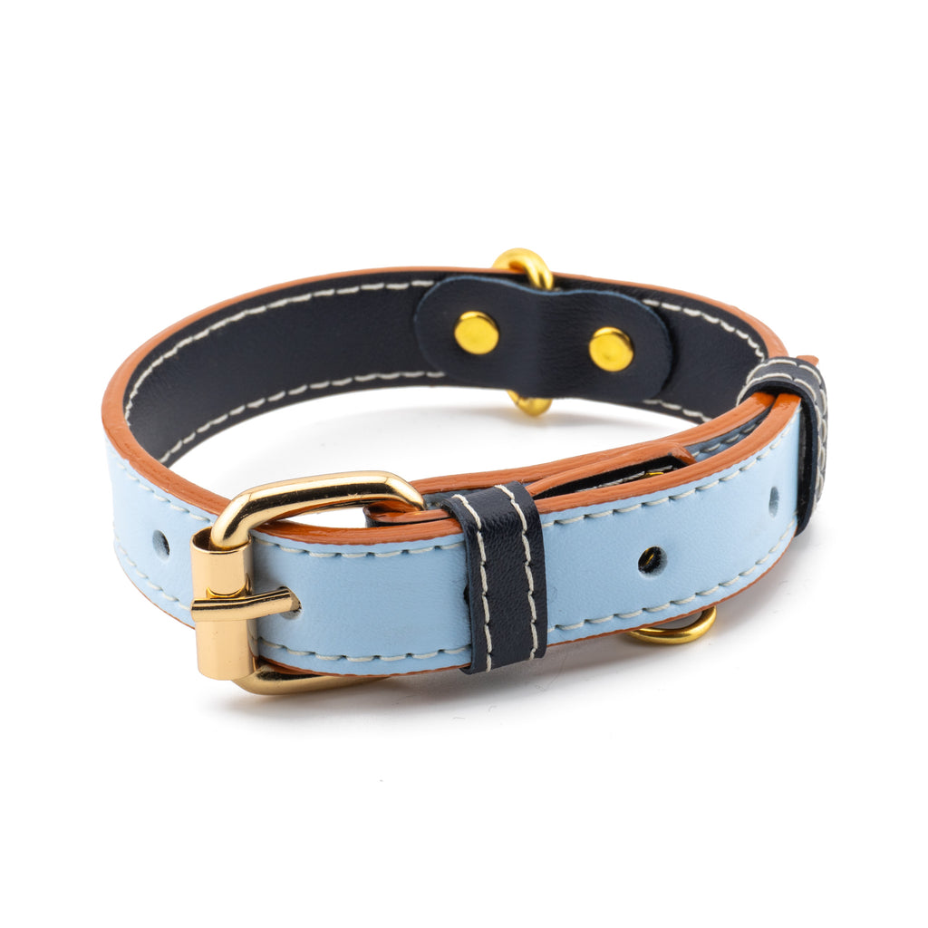 Vegan Leather Dog Collar - True Blue