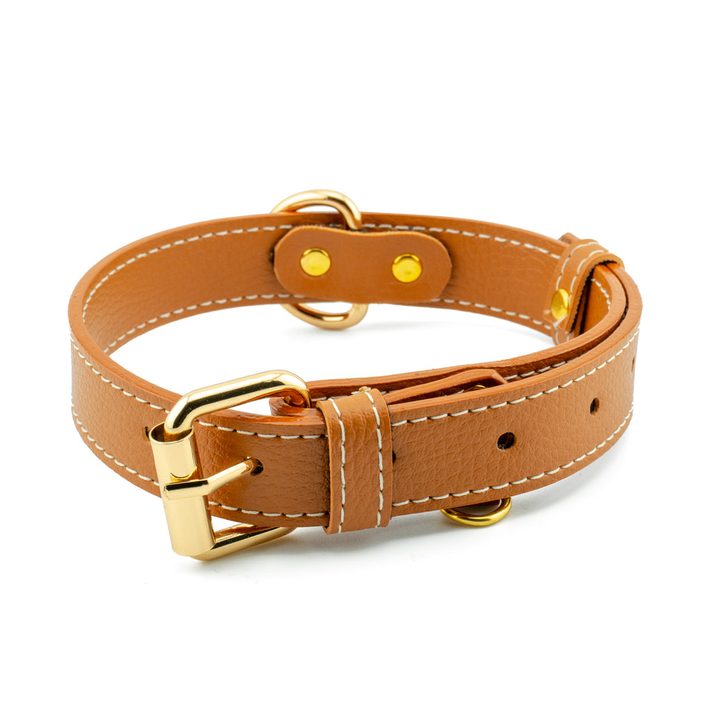 Vegan Leather Dog Collar - Terracotta