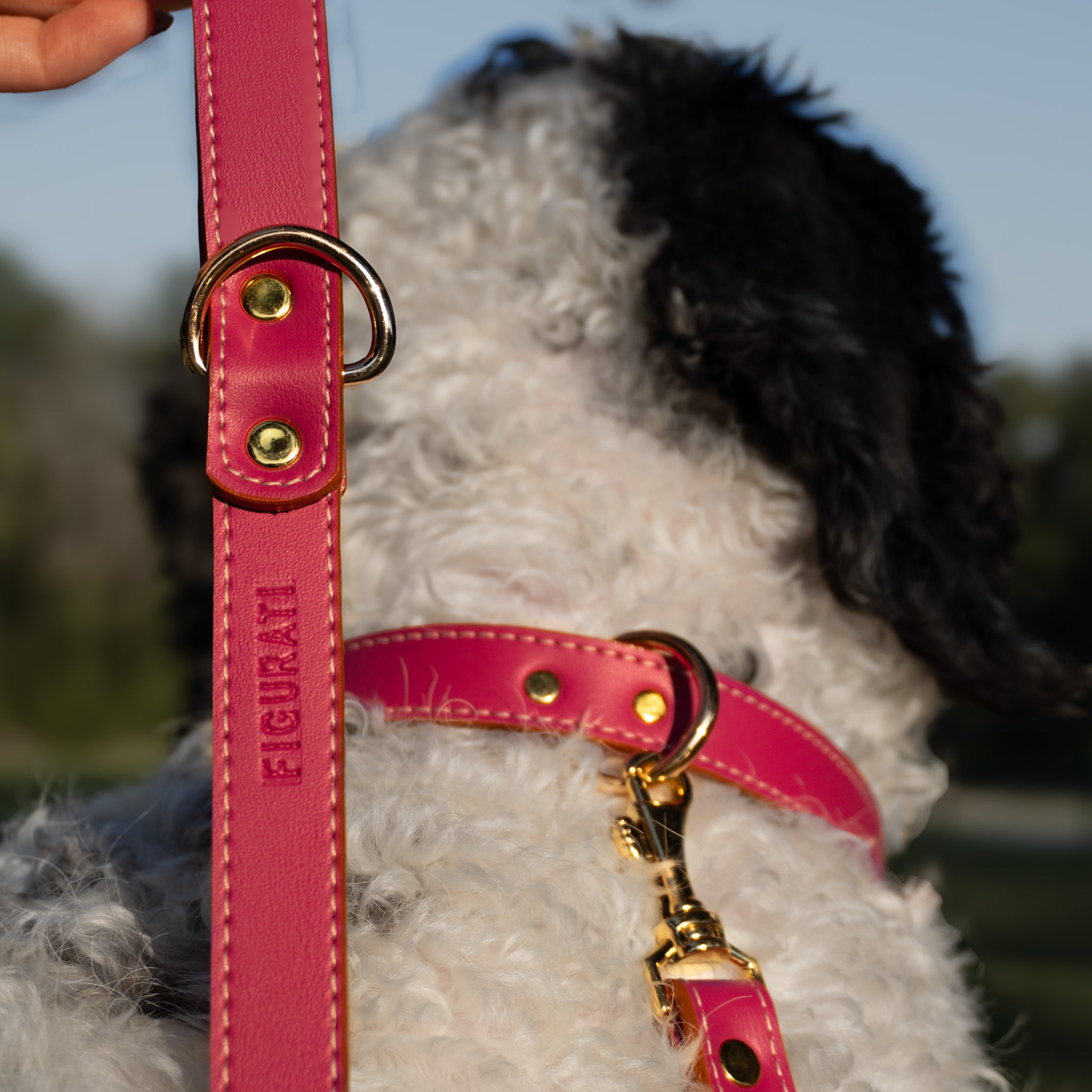 Vegan Leather Leash - Spring Fuchsia