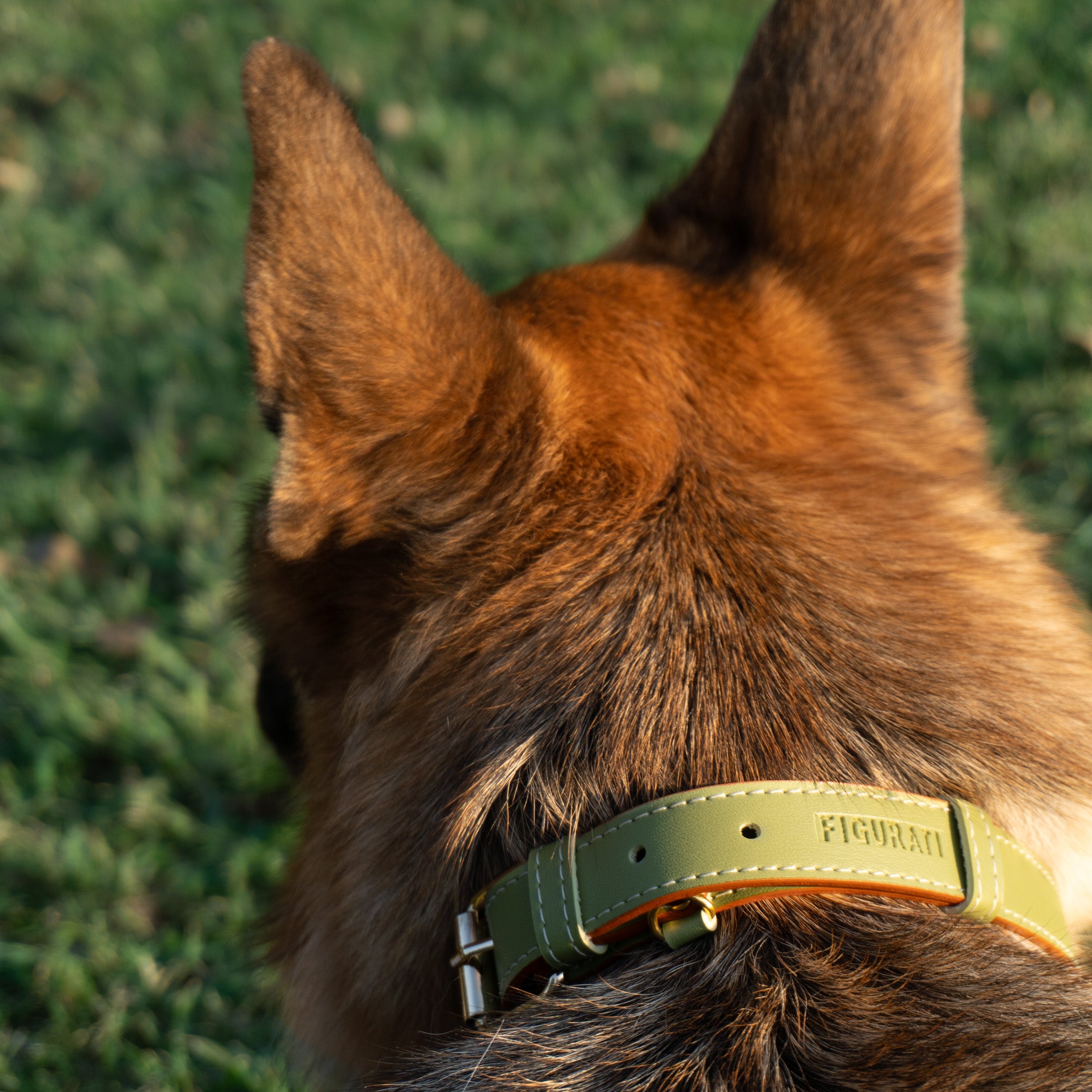 Vegan Leather Dog Collar - Olive Green