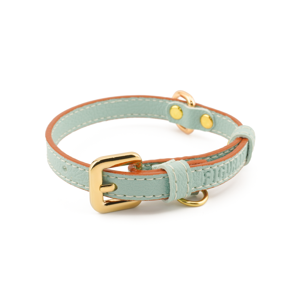 Vegan Leather Dog Collar - Mint Green