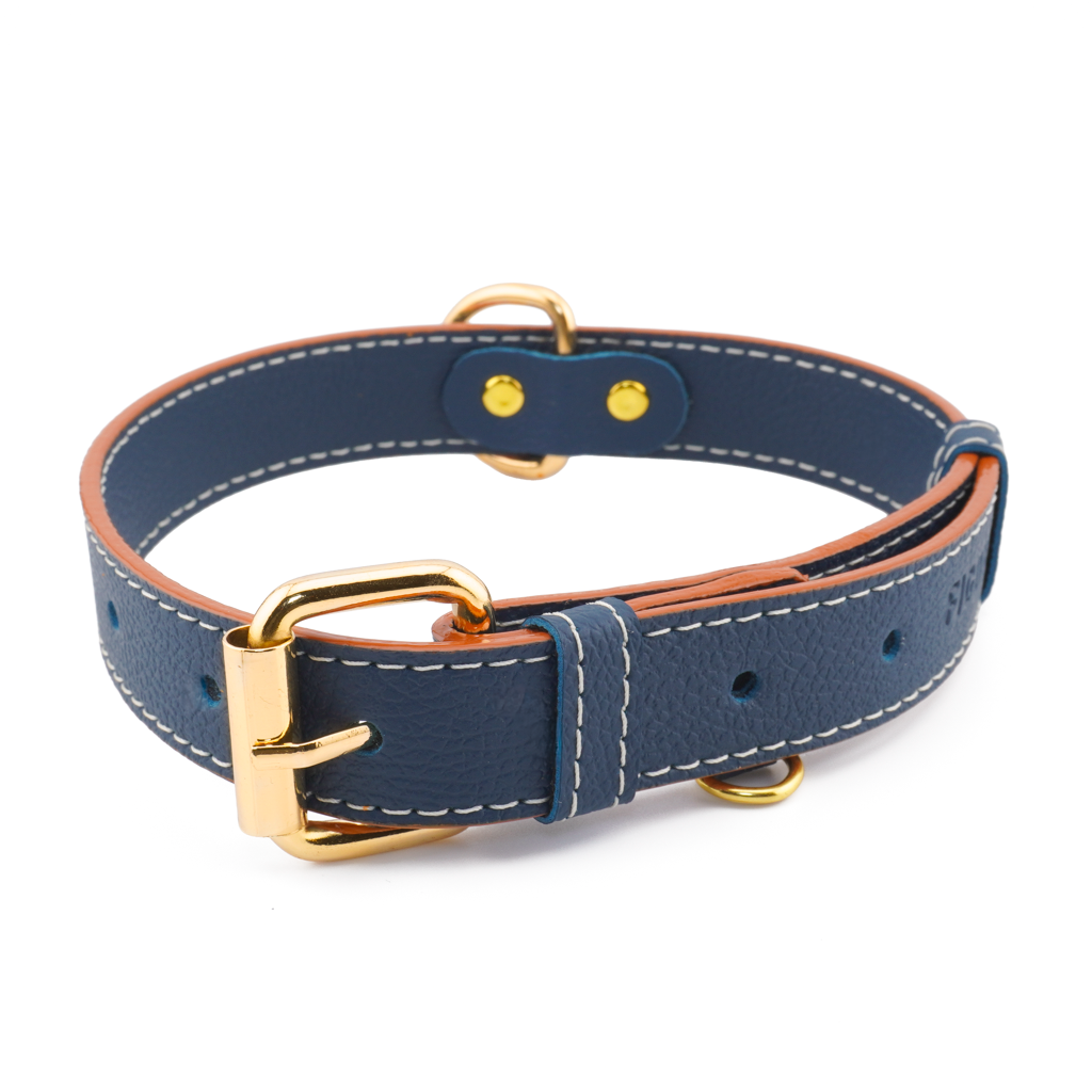 Vegan Leather Dog Collar - Blue Ocean