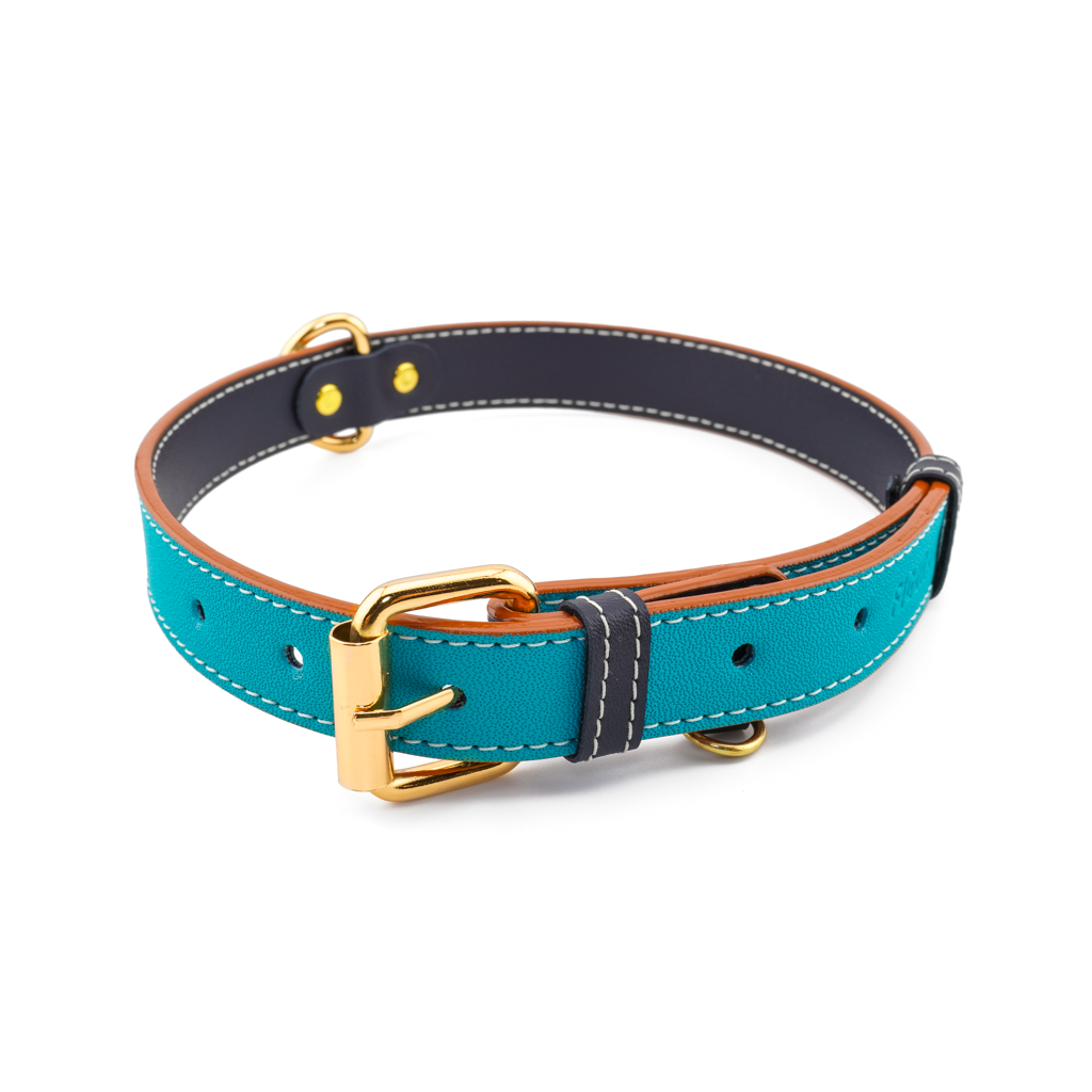 Vegan Leather Dog Collar - Turquoise