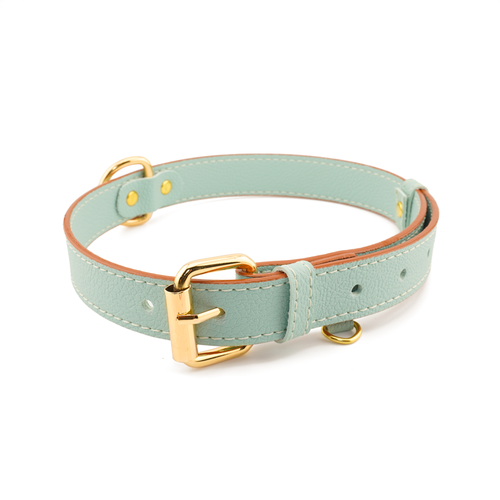 Vegan Leather Dog Collar - Mint Green