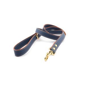 Vegan Leather Leash - Blue Ocean
