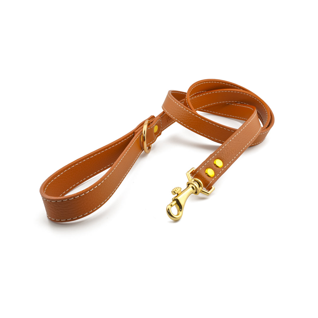Vegan Leather Leash - Terracotta