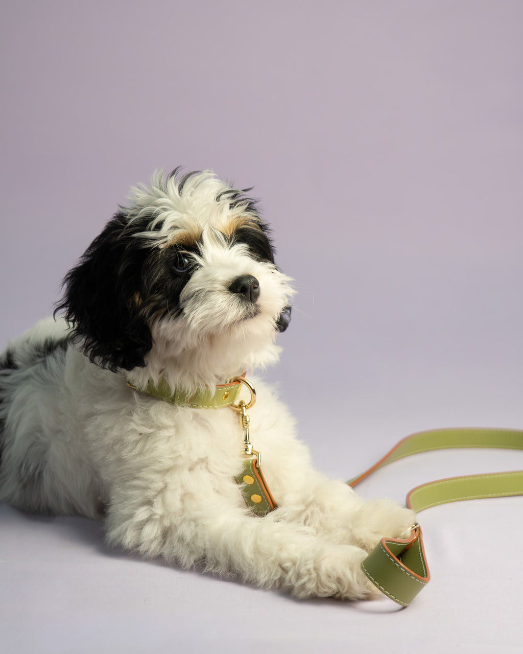 Vegan Leather Dog Bundle - Olive Green