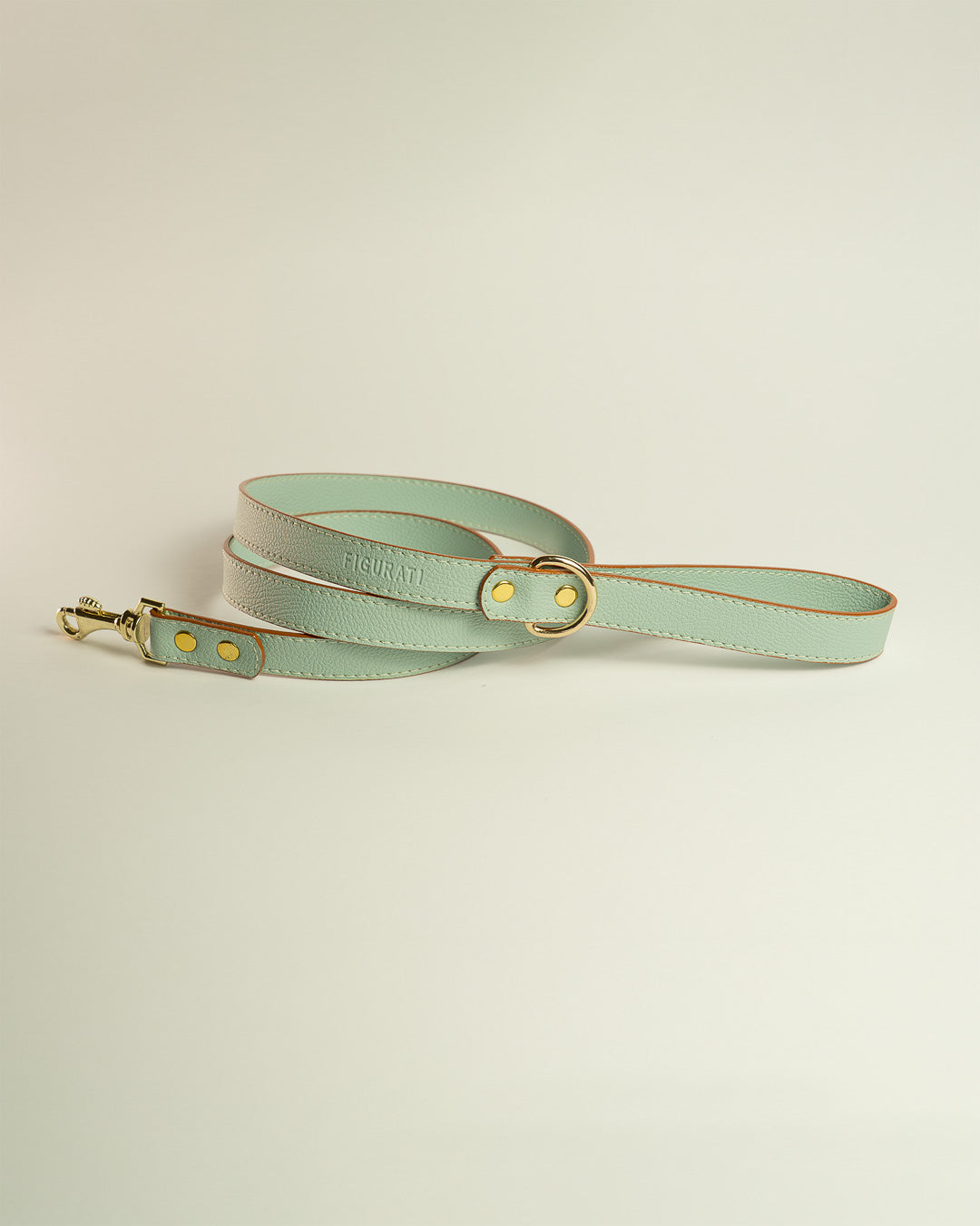Vegan Leather Leash - Mint Green