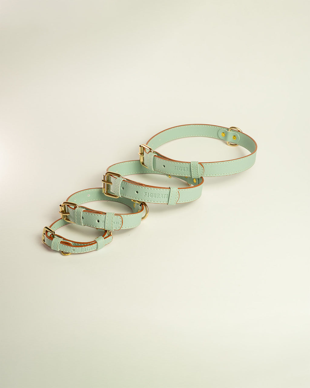 Vegan Leather Dog Bundle - Mint Green