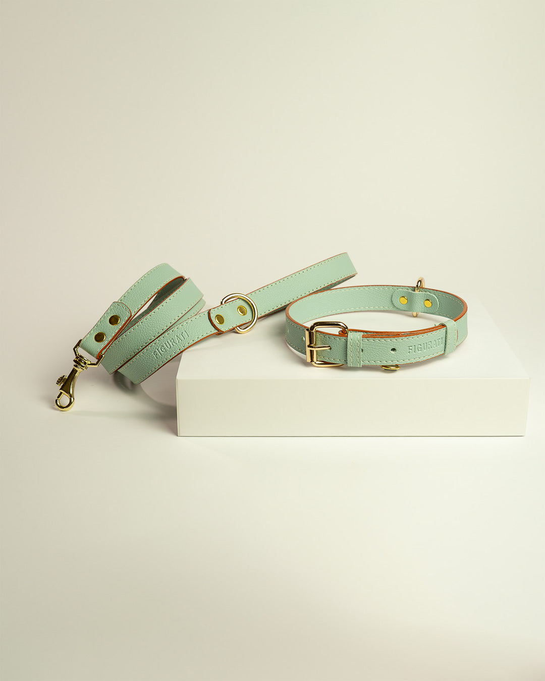 Vegan Leather Dog Bundle - Mint Green