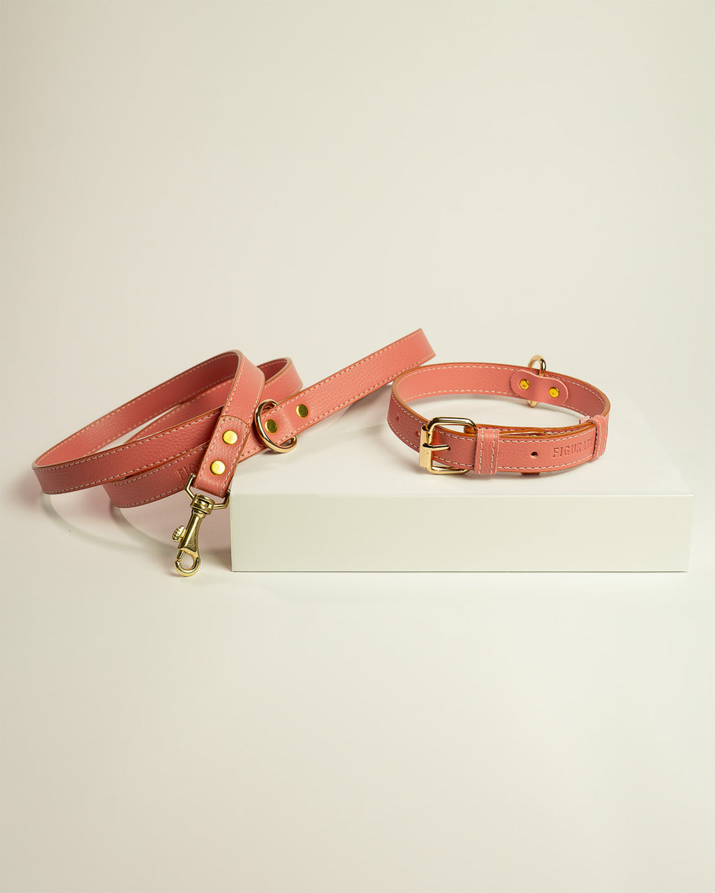 Vegan Leather Dog Bundle - Salmon