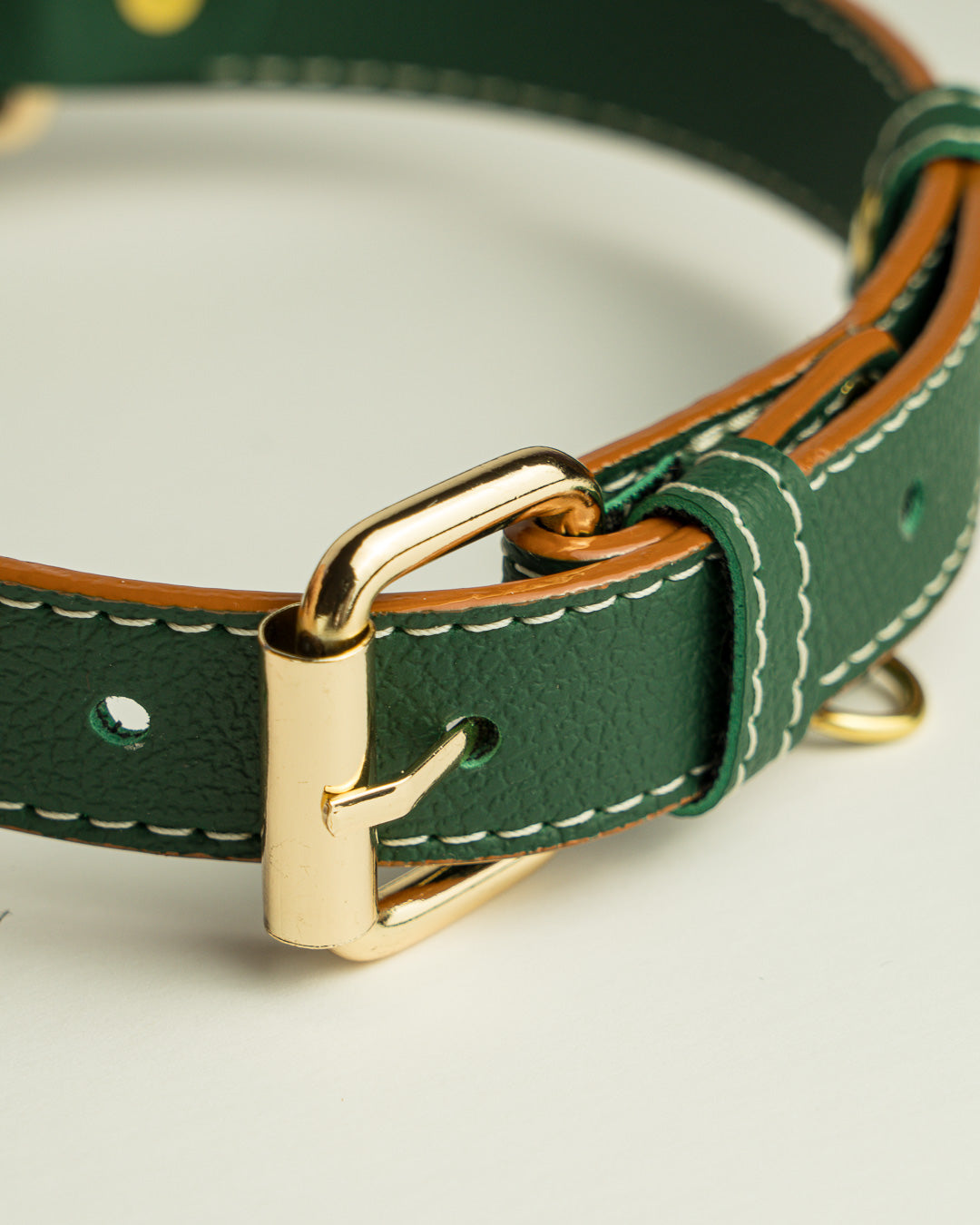 Vegan Leather Dog Collar - Jungle Green