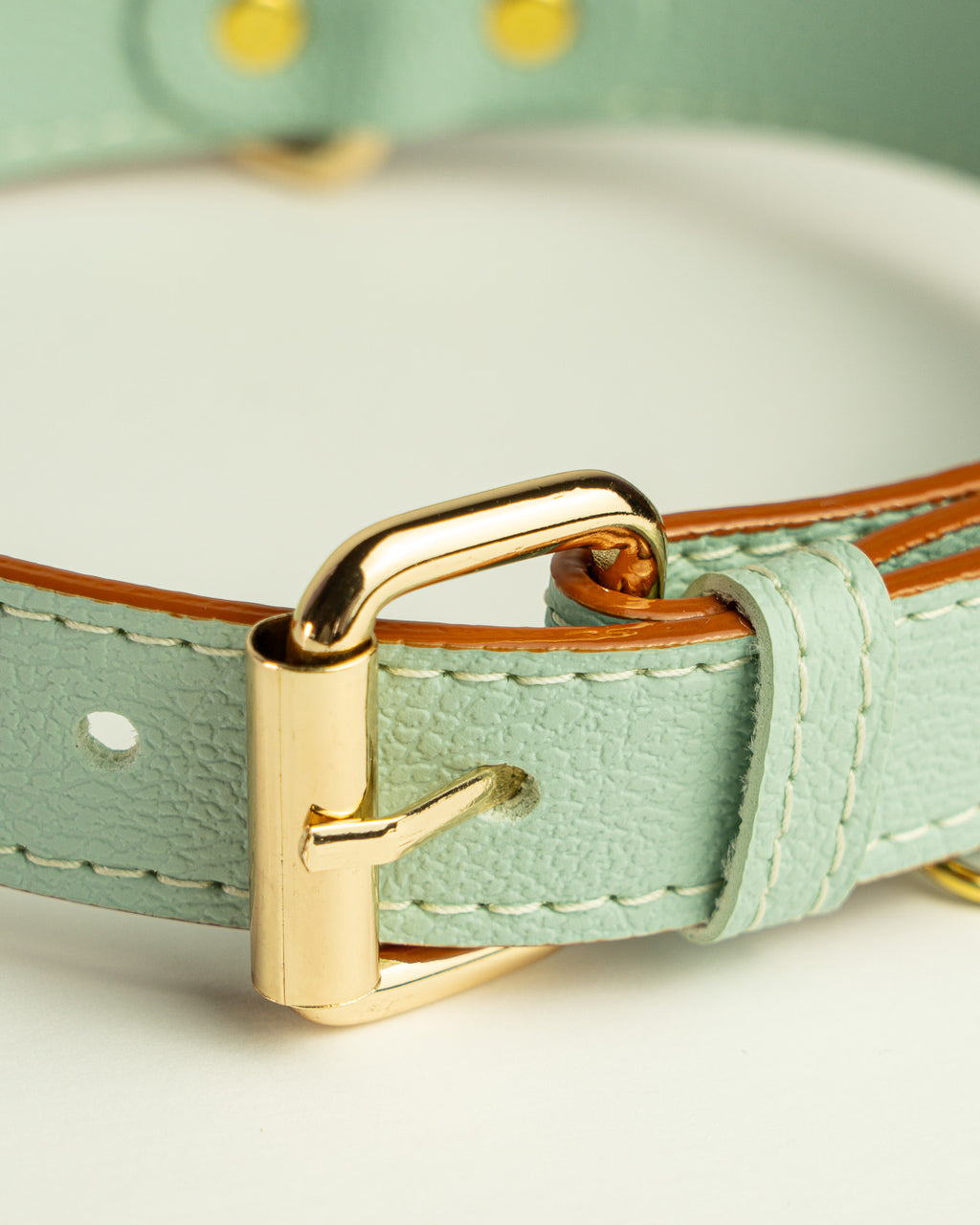 Vegan Leather Dog Collar - Mint Green
