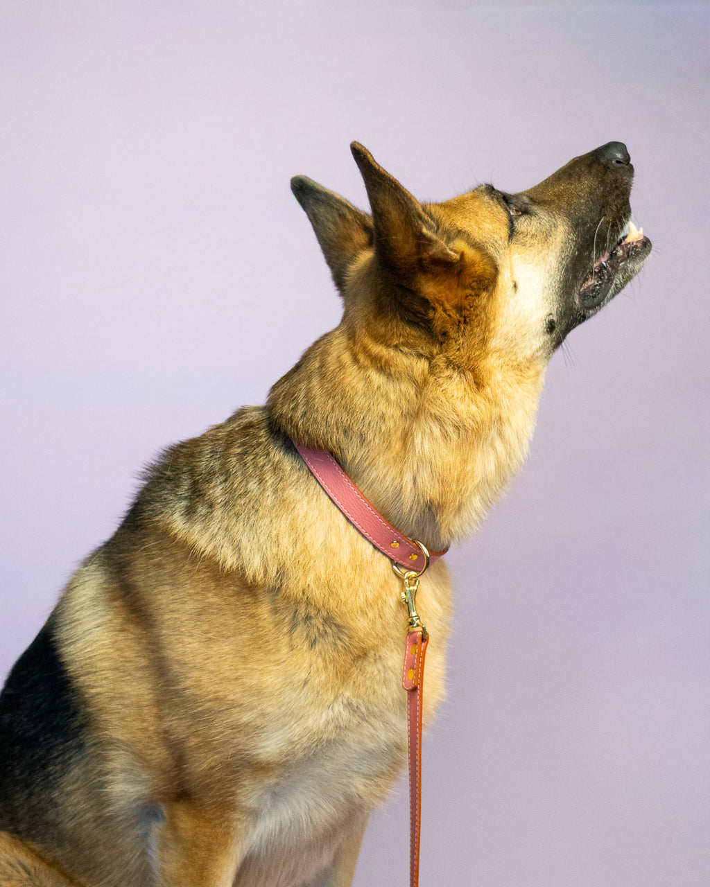 Vegan Leather Dog Collar - Salmon Pink