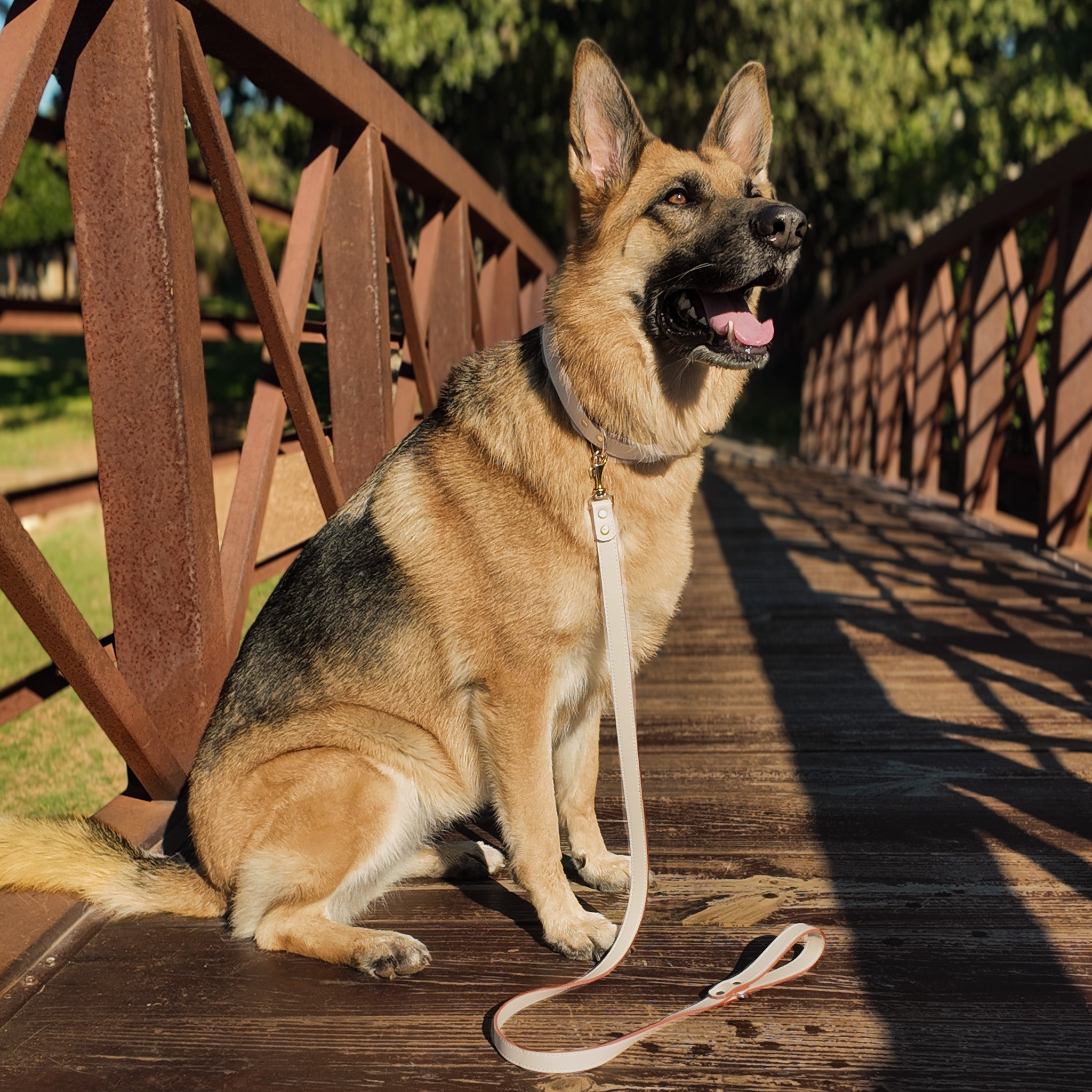 Vegan Leather Leash - Tulip Beige